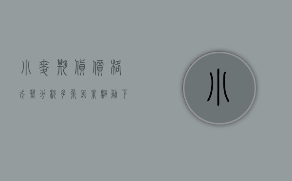 小麦期货价格走势分析，多重因素驱动下的市场波动