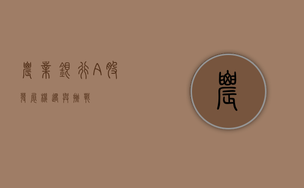 农业银行A股，发展、机遇与挑战