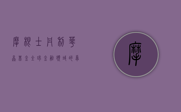 摩根士丹利华鑫基金，全球金融领域的卓越力量