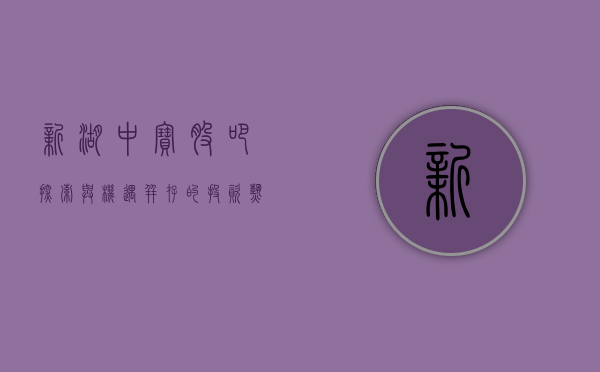 新湖中宝股吧，探索与机遇并存的投资热土