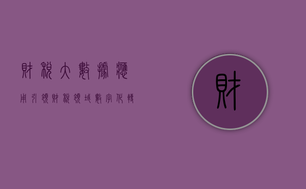 财税大数据应用，引领财税领域数字化转型的关键力量