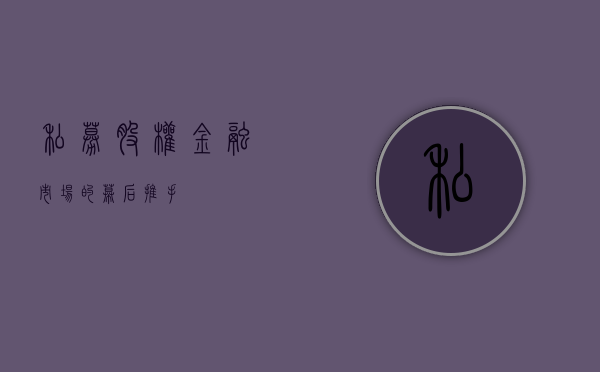 私募股权，金融市场的幕后推手