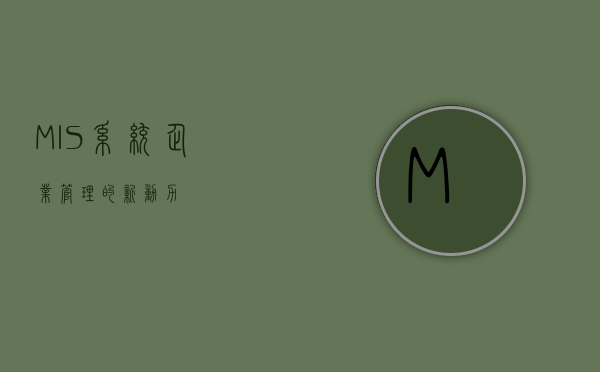 MIS系统，企业管理的新动力