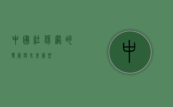 中国社保网的发展与未来展望