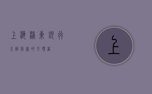 上海浦东银行，金融创新的引领者