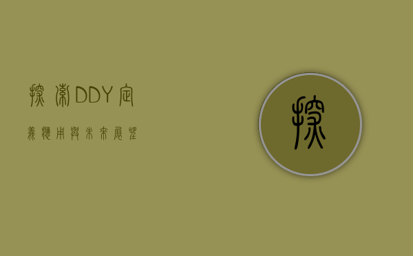 探索DDY，定义、应用与未来展望