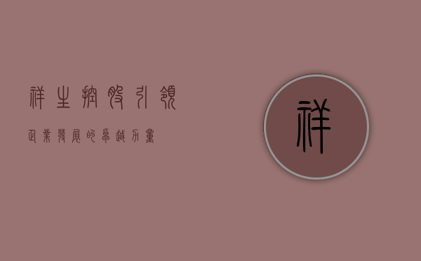 祥生控股，引领企业发展的卓越力量