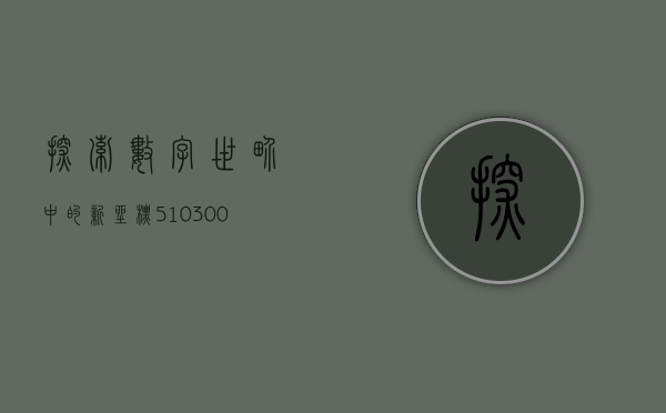 探索数字世界中的新坐标—510300