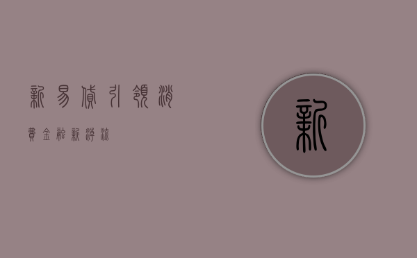 新易贷，引领消费金融新潮流