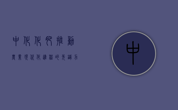 中化化肥，推动农业现代化进程的先锋力量