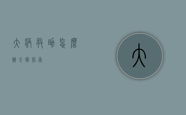 大病救助怎么办，全面指南