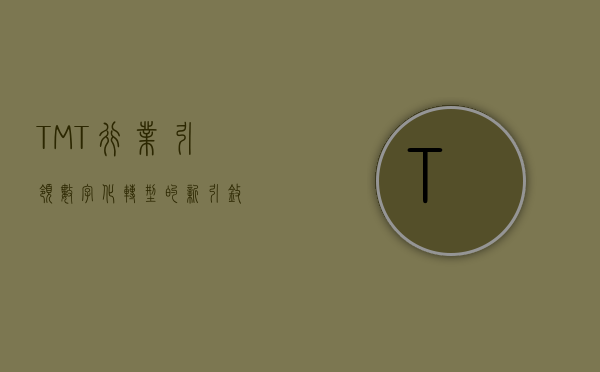 TMT行业，引领数字化转型的新引擎