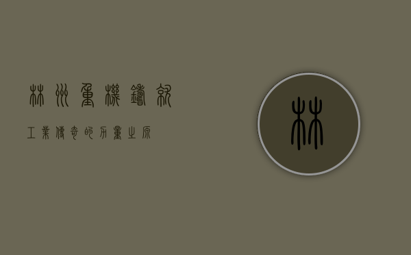 林州重机，铸就工业传奇的力量之源