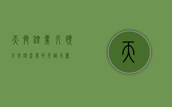 天齐锂业，引领未来锂产业的先锋力量