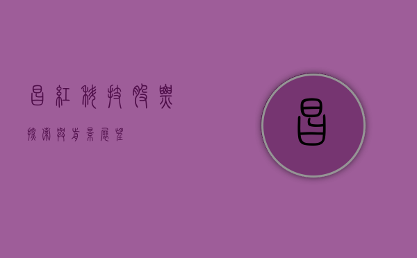 昌红科技股票，探索与前景展望