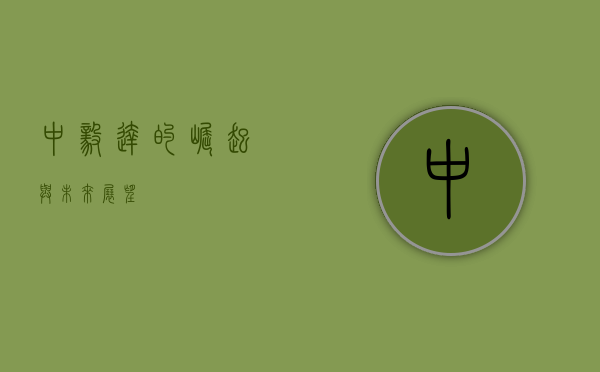 中毅达的崛起与未来展望