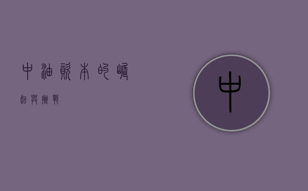 中油资本的崛起与挑战