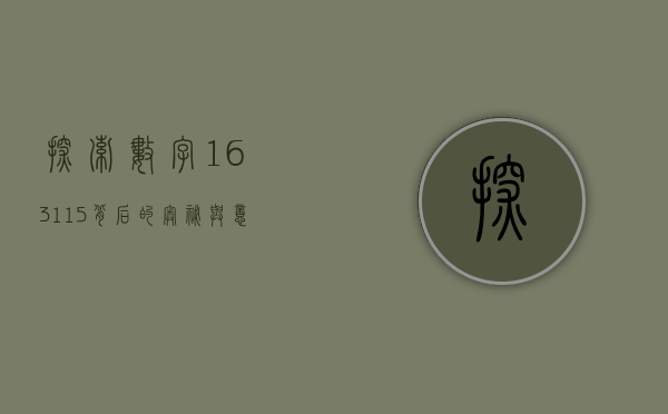 探索数字163115背后的奥秘与意义