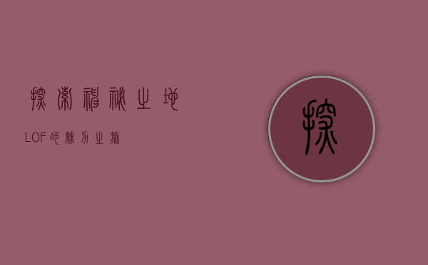 探索神秘之地，LOF的魅力之旅