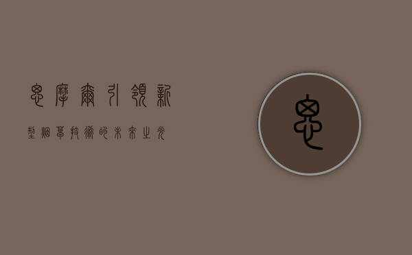 思摩尔，引领新型烟草技术的未来之光