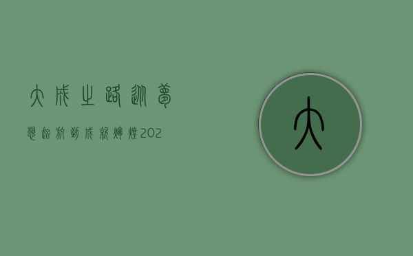 大成之路，从梦想起航到成就辉煌—2020年的探索与收获