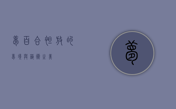 梦百合，绽放的梦境与艺术之美