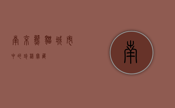 南京熊猫，城市中的珍稀宝藏