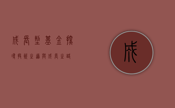 成长型基金，探寻投资之道与成长之路