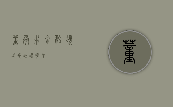 董承非,金融领域的璀璨明星