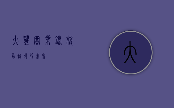 大丰实业，铸就卓越，引领未来