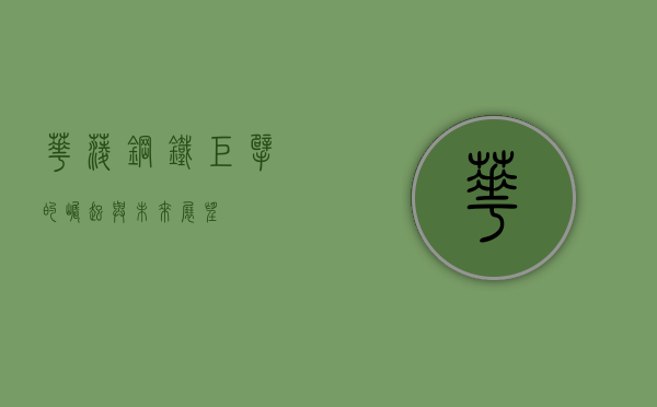华菱，钢铁巨擘的崛起与未来展望