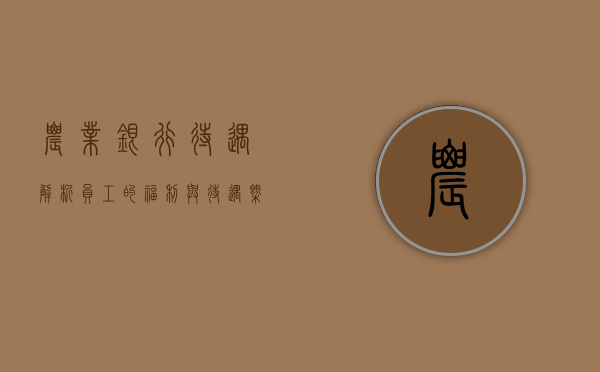 农业银行待遇解析，员工的福利与待遇概览