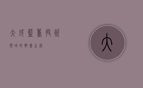 大成蓝筹，投资领域的明星之选