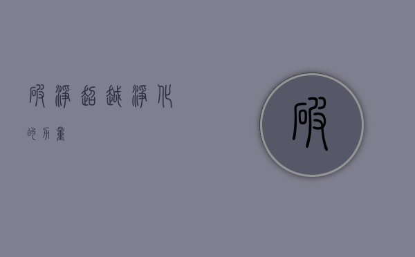 破净，超越净化的力量
