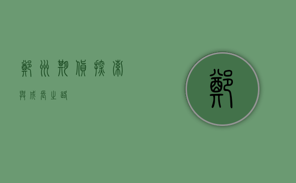 郑州期货，探索与成长之路