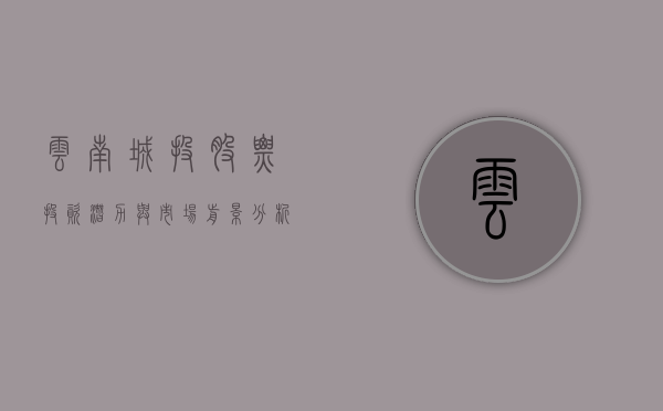 云南城投股票，投资潜力与市场前景分析