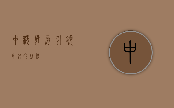 中海发展，引领未来的航标