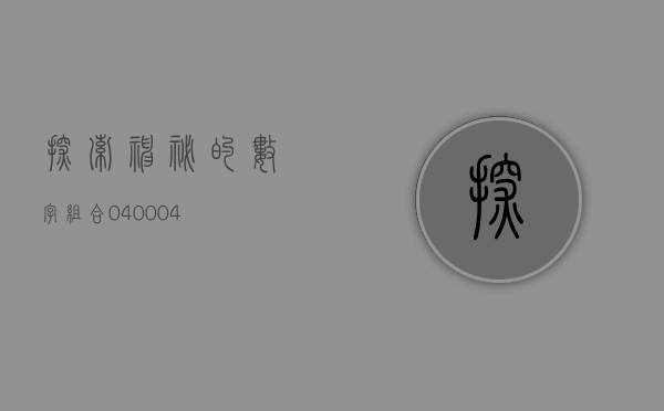 探索神秘的数字组合—040004