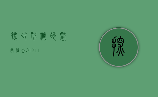 探寻神秘的数字组合，01211
