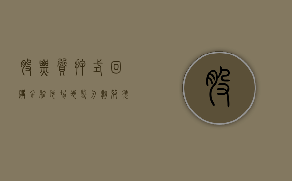 股票质押式回购，金融市场的双刃剑效应