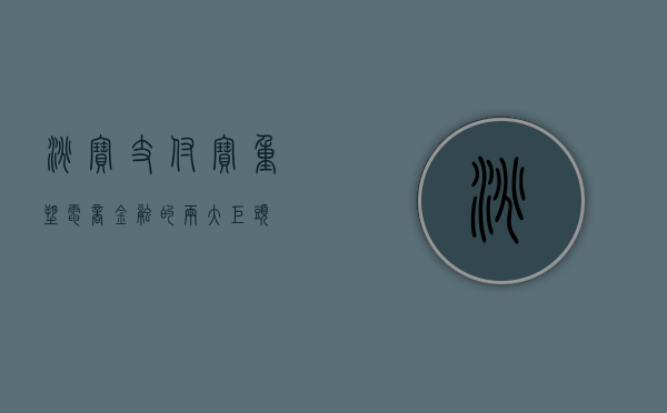 淘宝支付宝，重塑电商金融的两大巨头