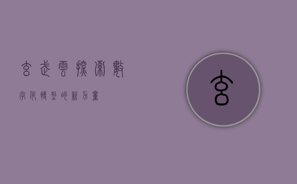 玄武云,探索数字化转型的新力量