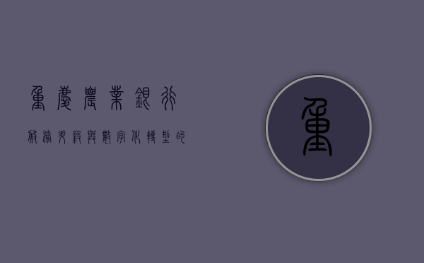 重庆农业银行，服务升级与数字化转型的先锋力量