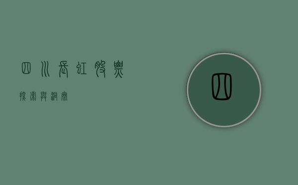 四川长虹股票，探索与洞察