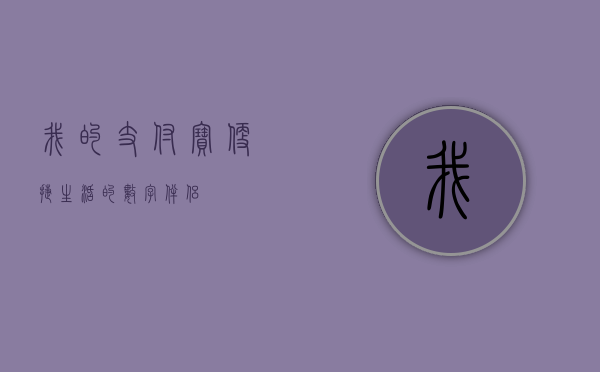 我的支付宝，便捷生活的数字伴侣