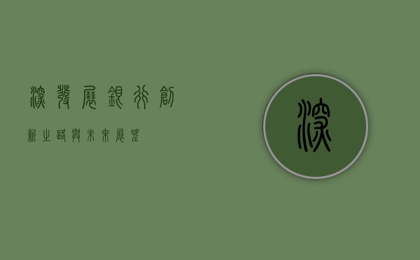 深发展银行，创新之路与未来展望
