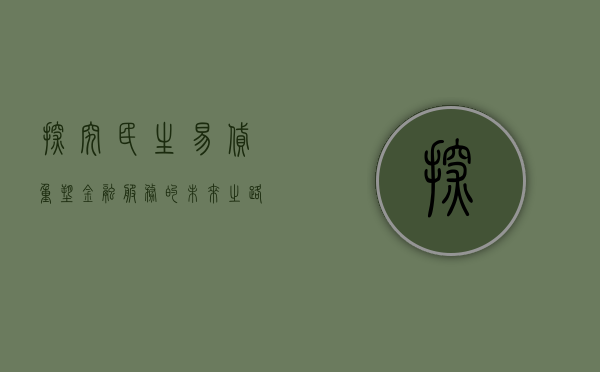 探究民生易贷，重塑金融服务的未来之路