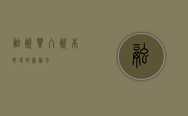 融资买入，资本市场的新动力