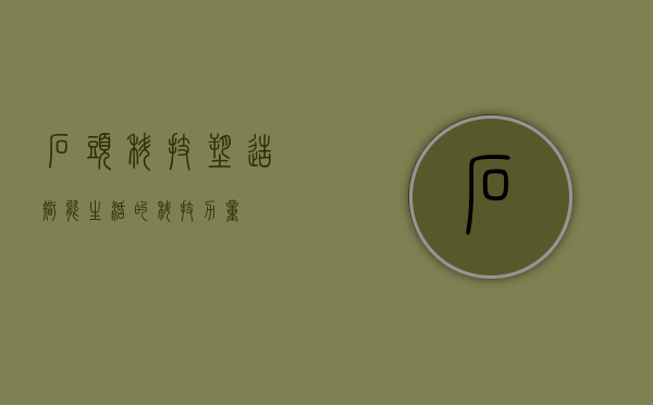 石头科技，塑造智能生活的科技力量