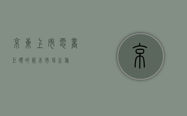 京东上市，电商巨头的资本市场之旅